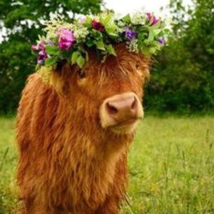 Meet your Posher, Debra